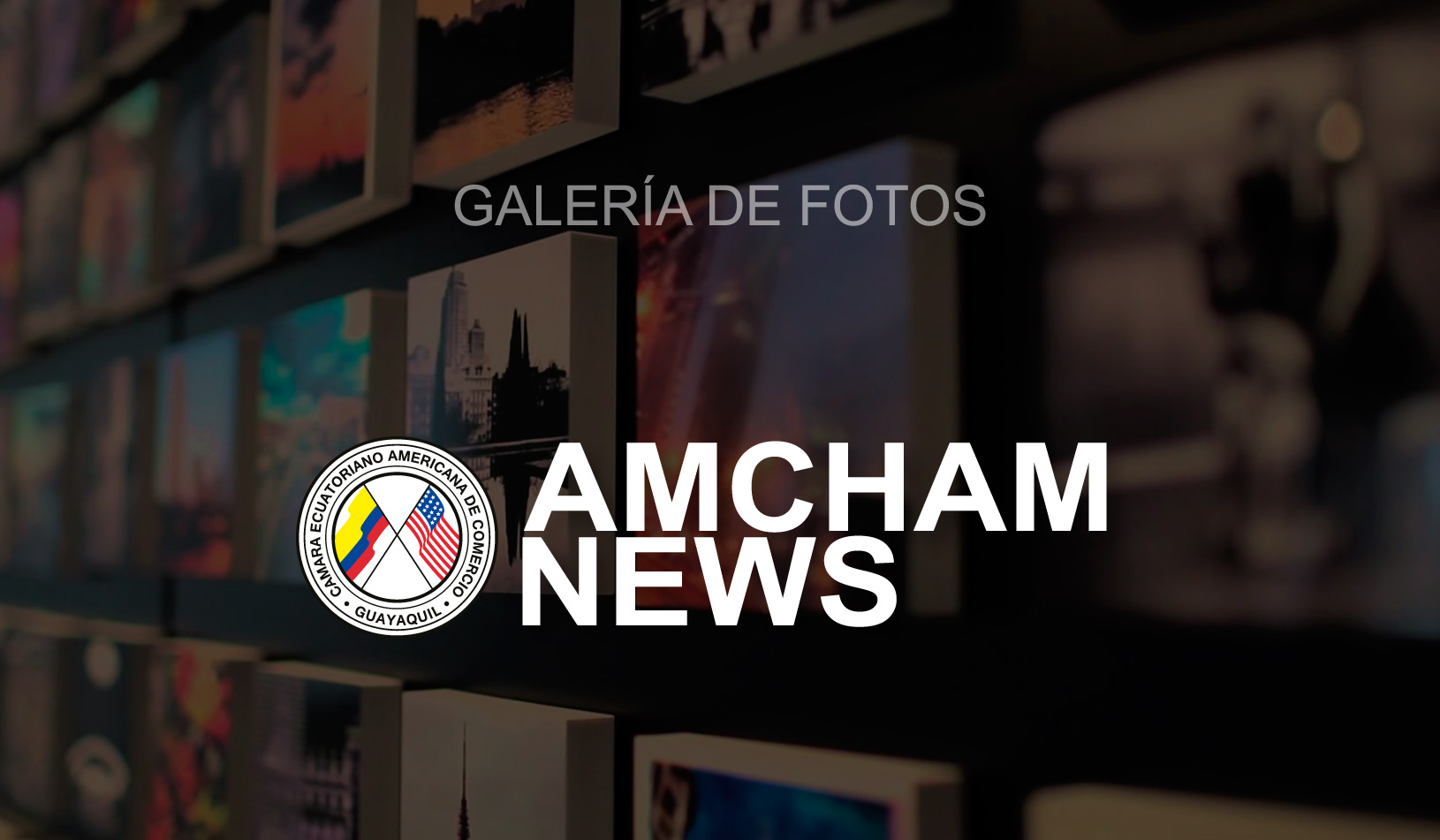 Galería